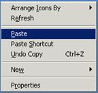 Remote Desktop - RadiusNT Window Title.png
